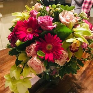 Meet your Posher, Nikki